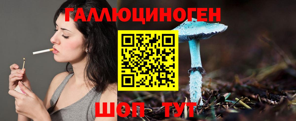 Галлюциногенные грибы Psilocybe  Вход с VPN  Муравленко 
