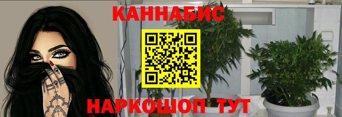 Шишки марихуана Amnesia  Шишки марихуана гибрид  Бошки марихуана Ganja  Муравленко  Вход с VPN 